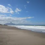 Cicas Sul Mare