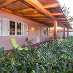 Cicas Sul Mare * カンポフェリーチェ・ディ・ロッチェッラ