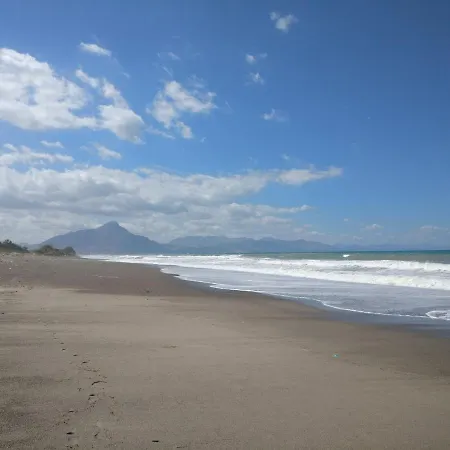 Cicas Sul Mare