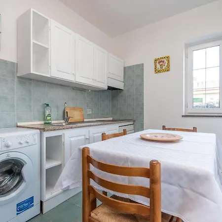 Cicas Sul Mare Campofelice Di Roccella