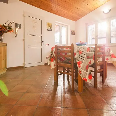 Cicas Sul Mare Campofelice Di Roccella