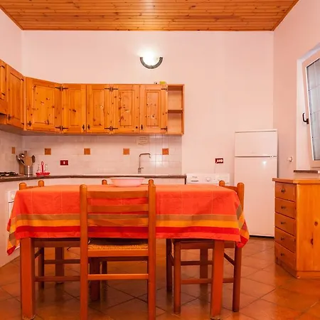 Cicas Sul Mare * Campofelice Di Roccella