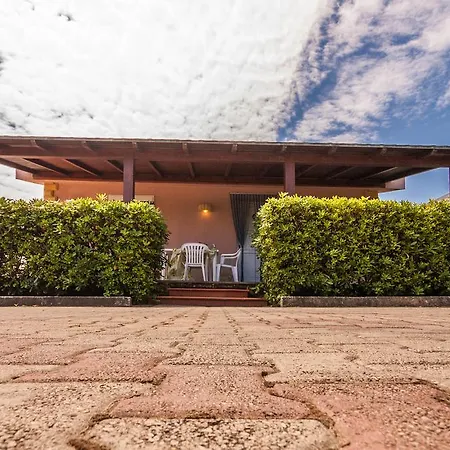 Cicas Sul Mare * Campofelice Di Roccella